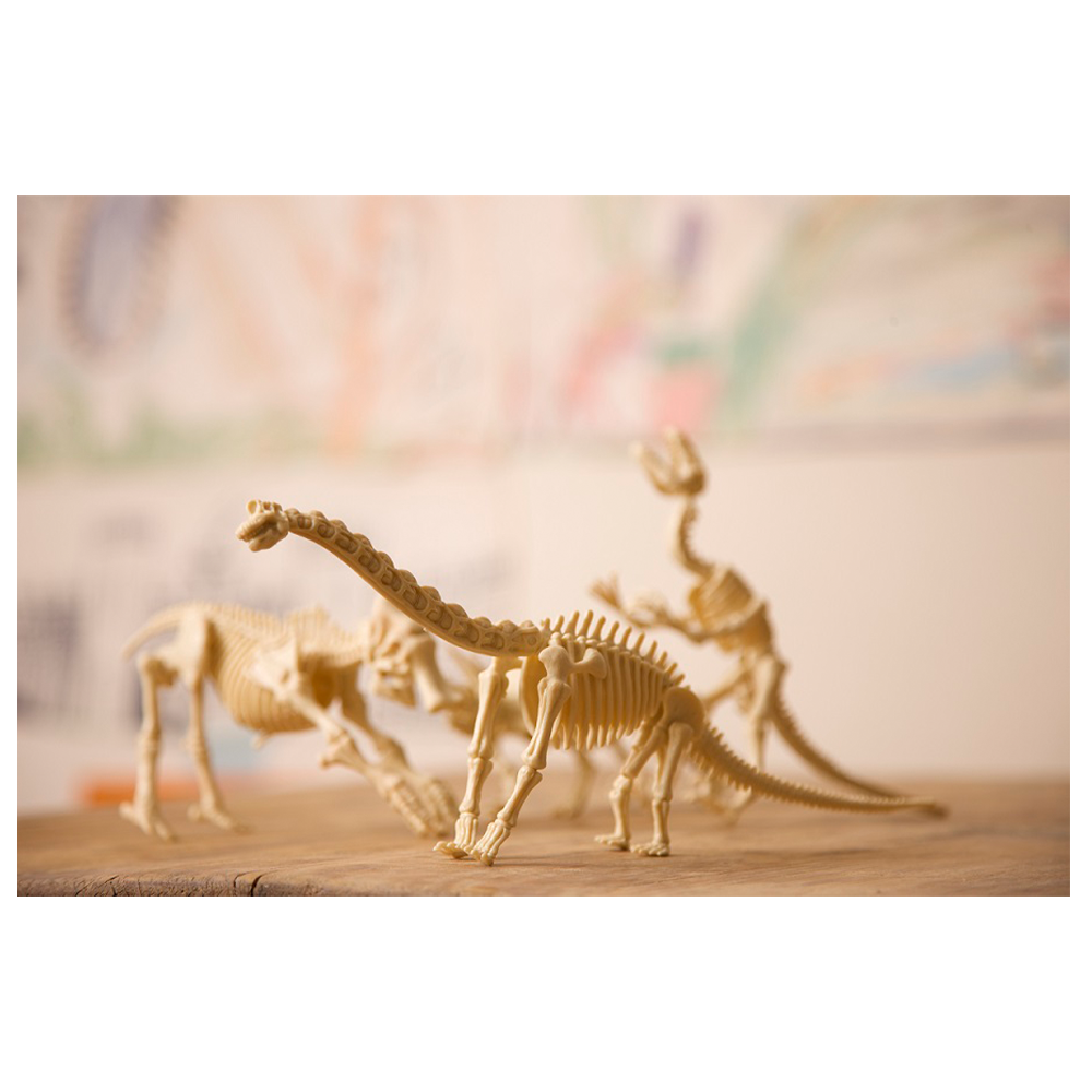 4Μ Ανασκαφή Σκελετού Τρικεράτωψ